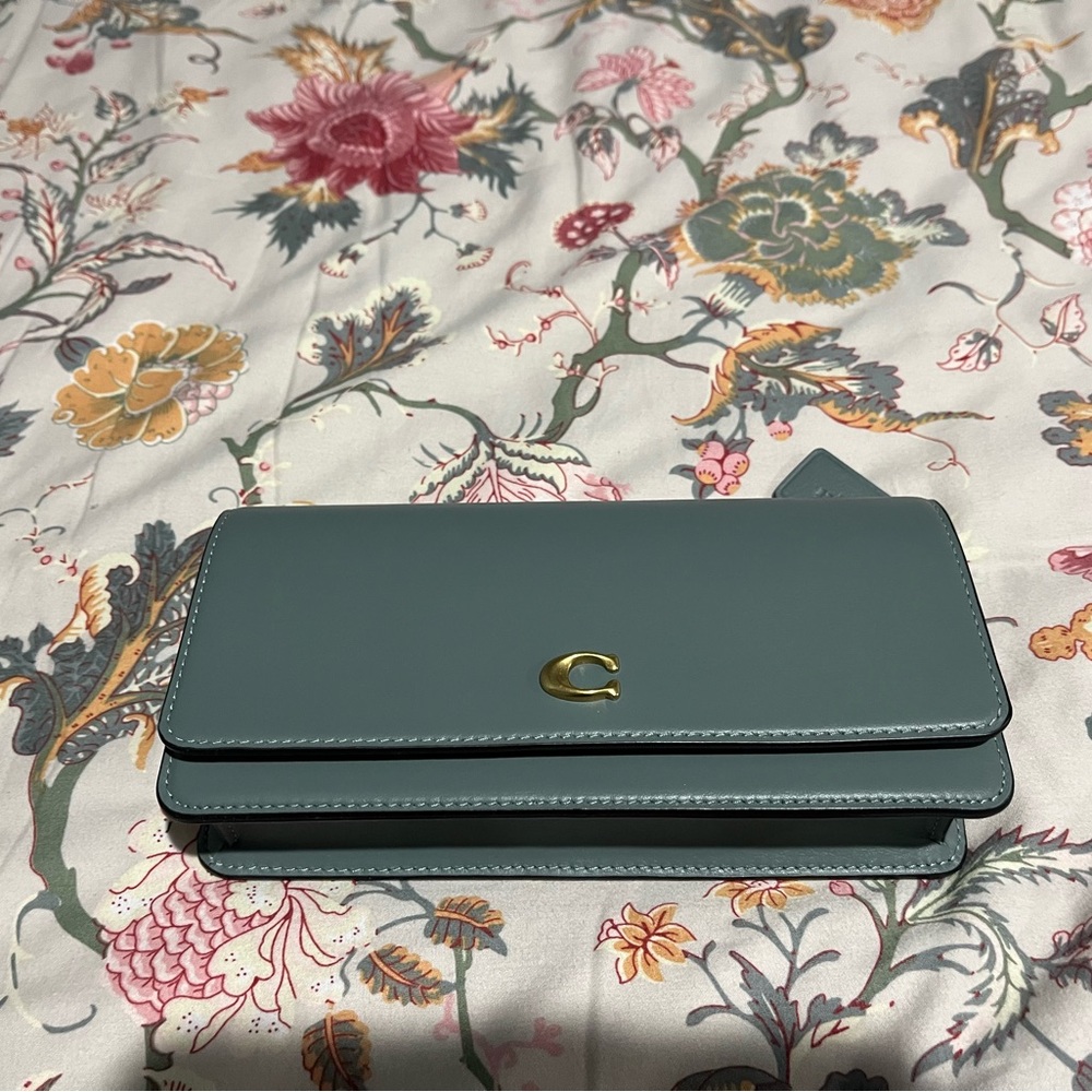 Coach Sage Evie Leather Bag